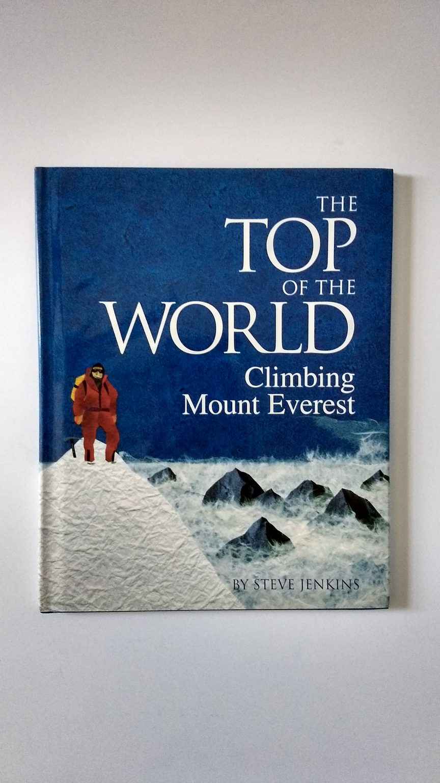 The Top Of The World Climbing Mount Everest Warehouse Books