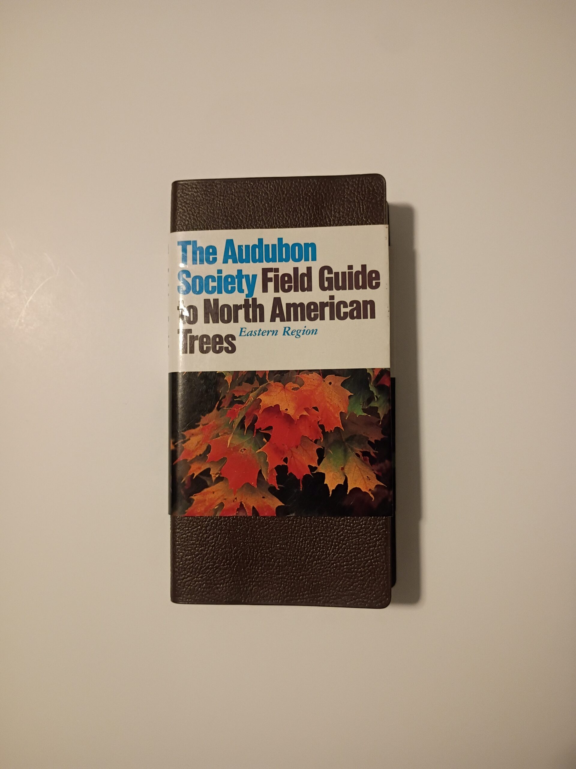 Audubon Soceity FGT North American Trees