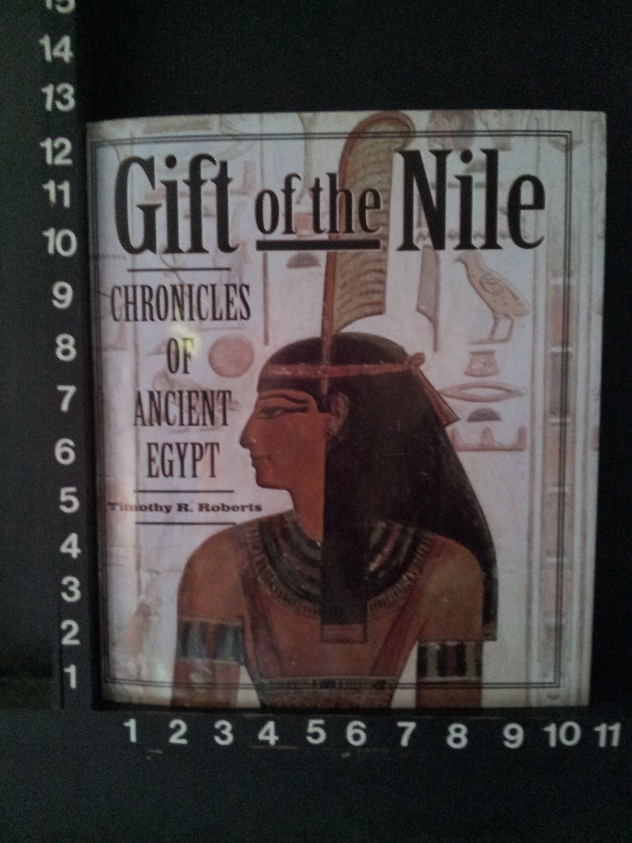 The gift of the Nile | PPT-thunohoangphong.vn
